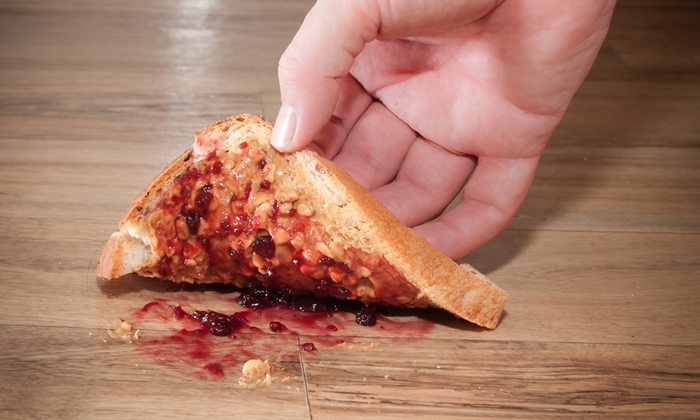 Someone is trying to pick up a dropped slice of bread with peanut butter and jelly from the floor.
