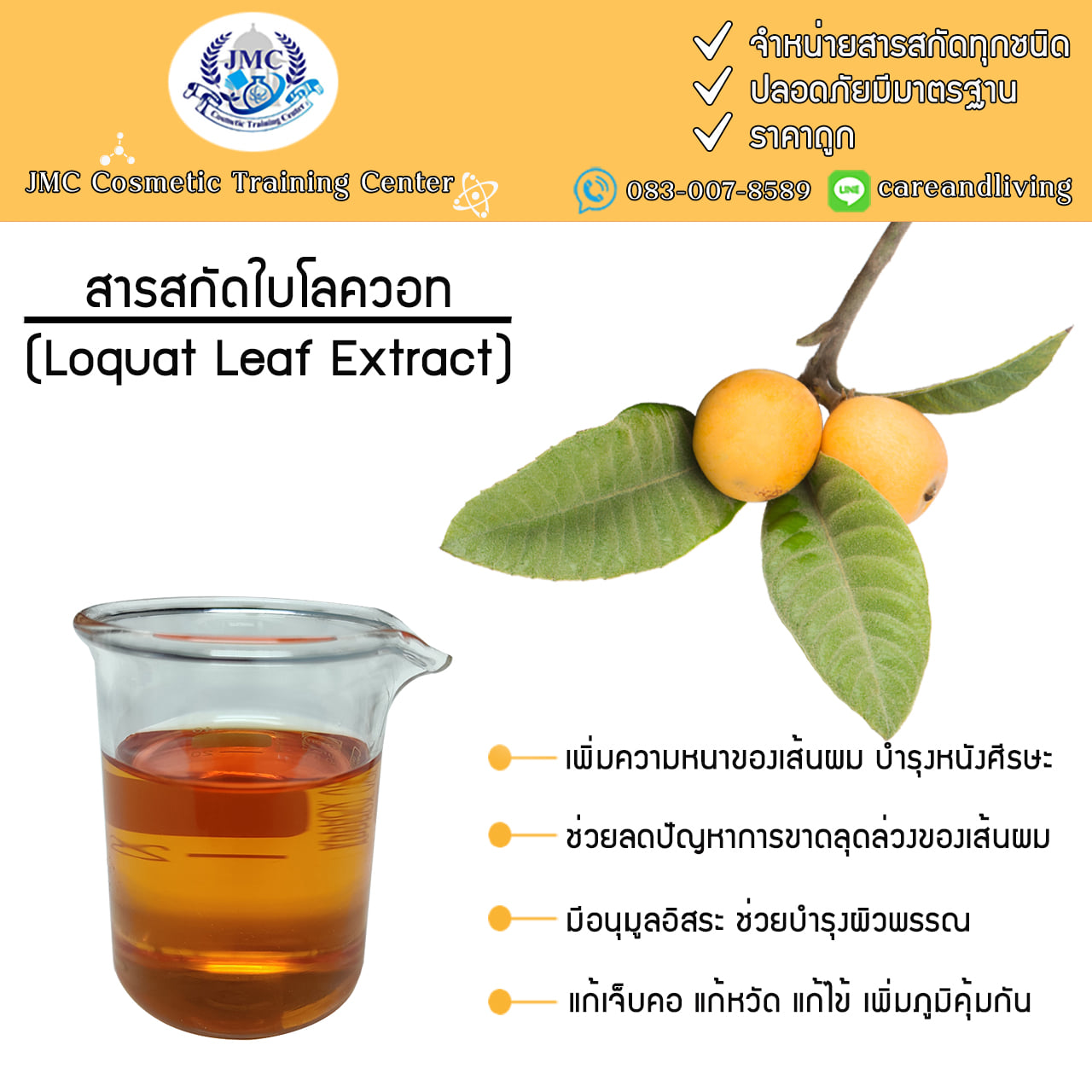 สารสกัดใบโลวอท Loquat Leaf Extract ใบหูกวางจีน Care And Living JMC